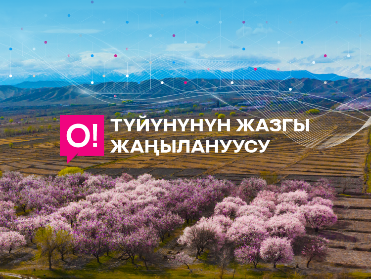 Жазгы жаңылануу: Кыргызстан боюнча О! түйүнүнүн кубаты өсүүдө