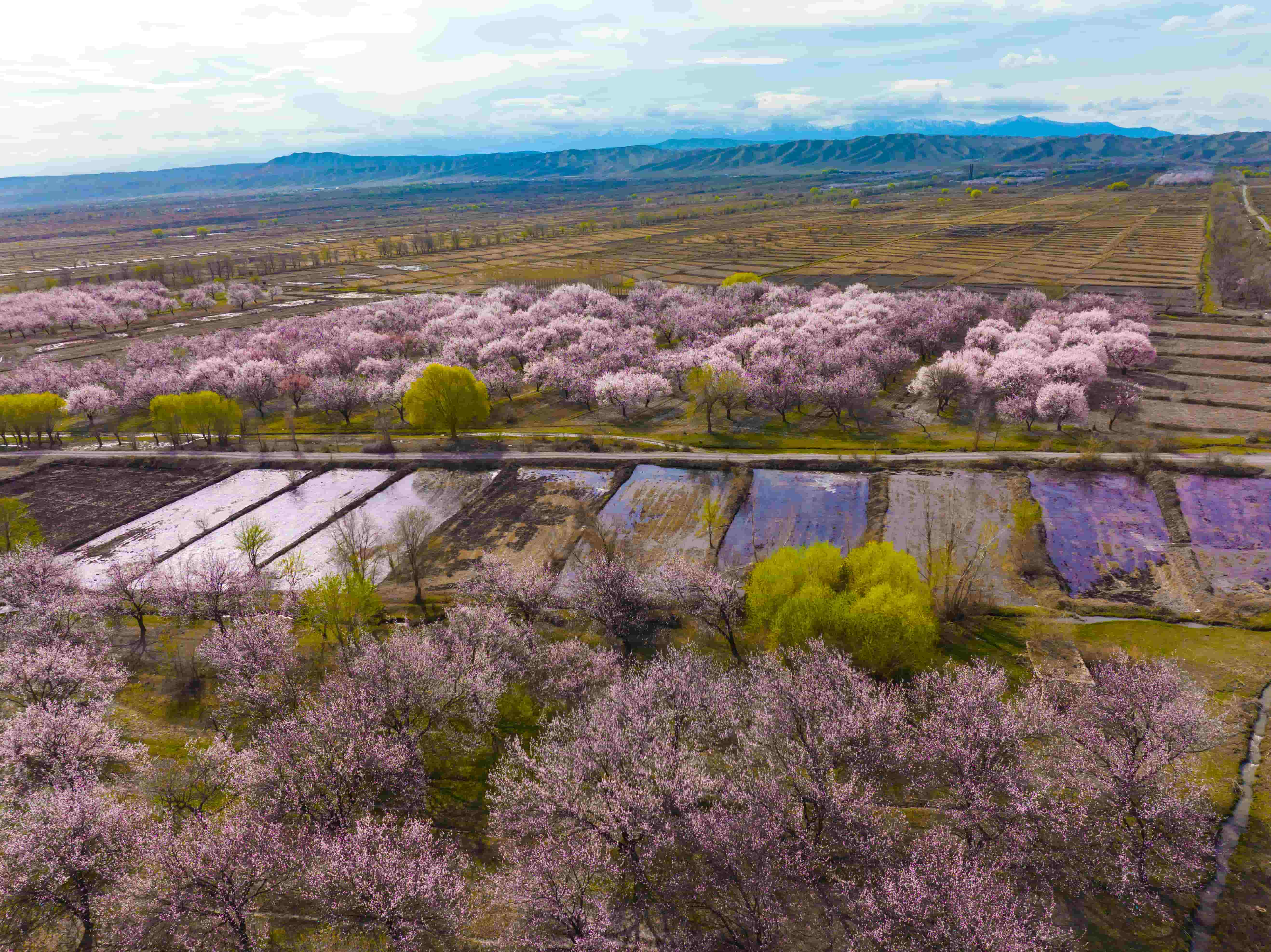 The spring renewal: the O! Network is now even more powerful throughout Kyrgyzstan